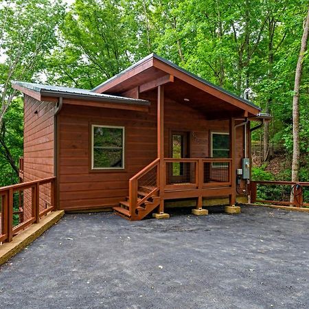 New Cozy Mountain Cabin Hot Tub Near Downtown Гетлинбург Екстериор снимка
